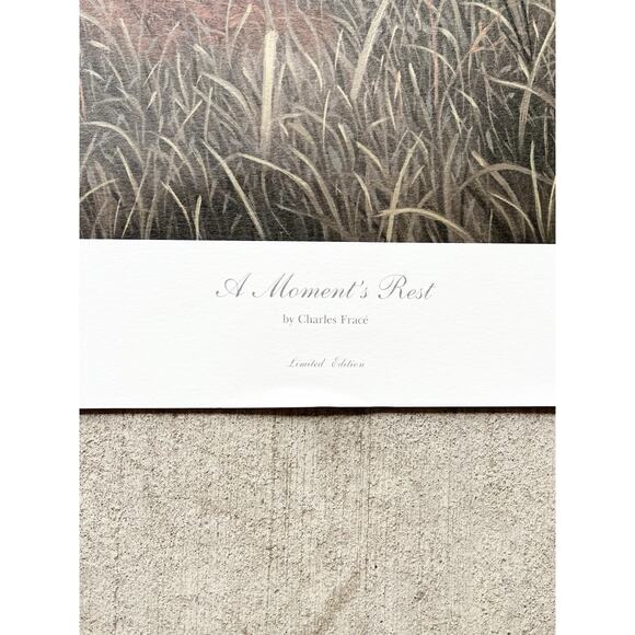 1983 Charles Fracé “A Moment’s Rest, Cheetah” Signed Large Print w/COA 32”X24” - Picture 8 of 10